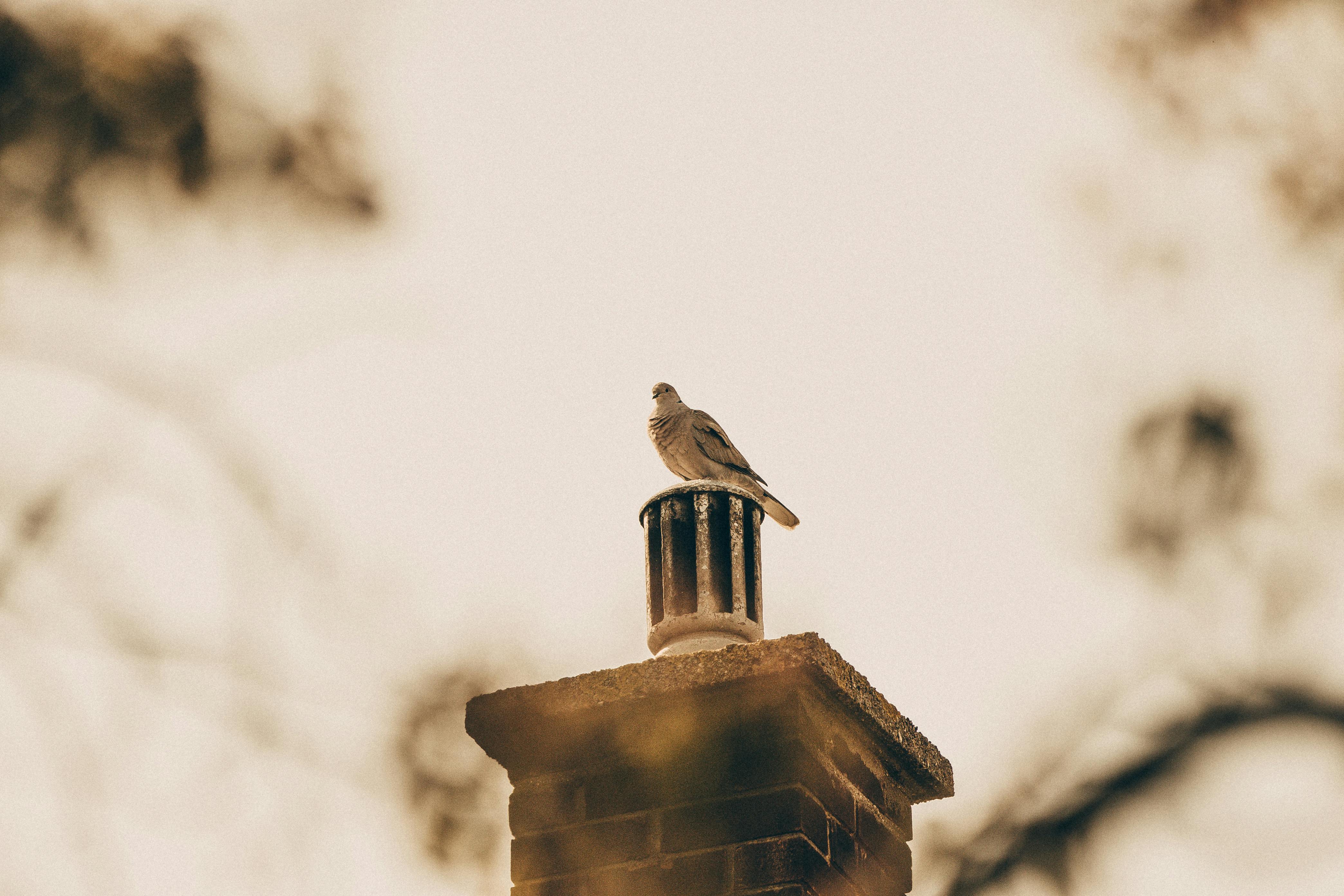 Expert Chimney Cap Installation in Hermosa Beach, California
